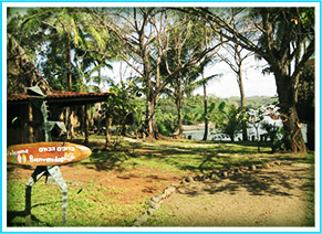 Central America Surf